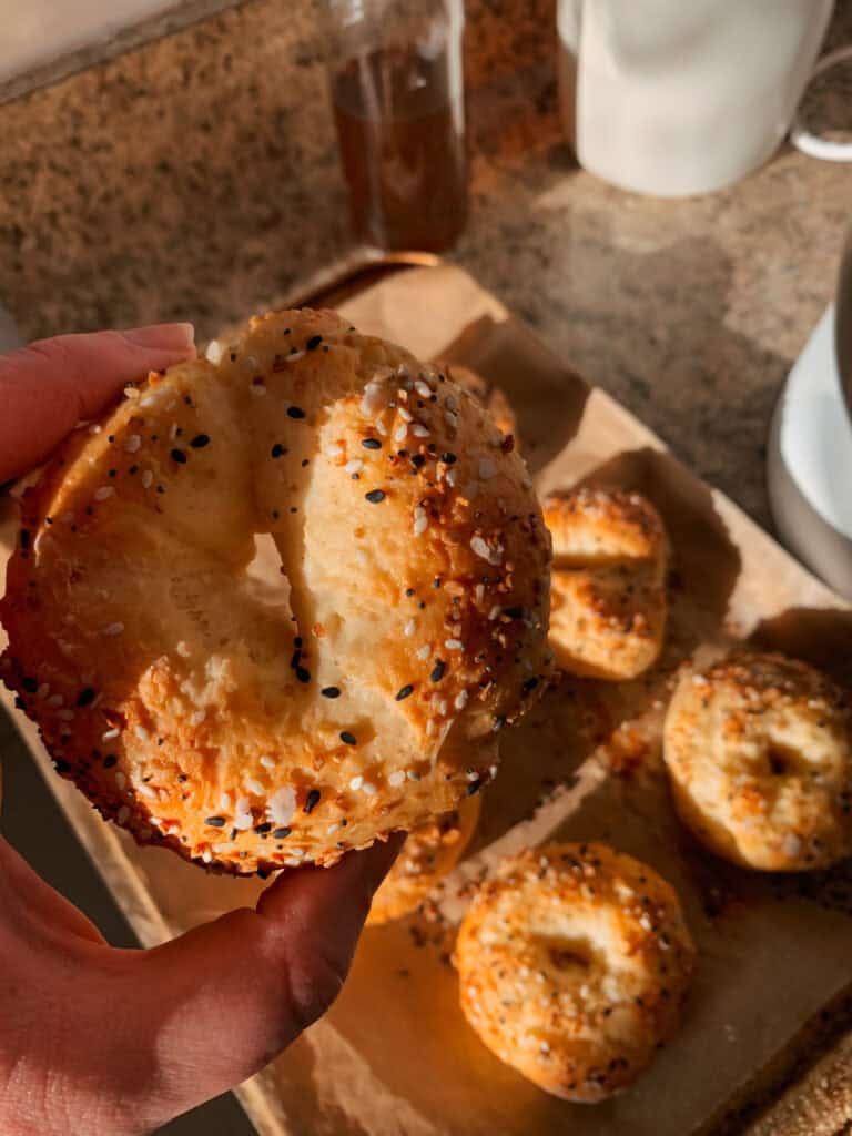 The baker holding up a warm, homemade bagel fresh out of the oven. The bagel is glowing in the evening golden hour light, and it looks scrumptious!